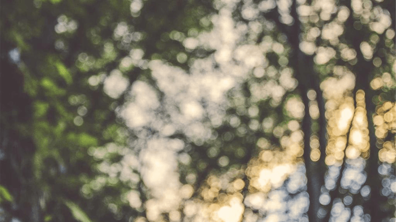 Fiction - professional stock photography