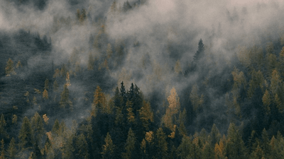 Pen - professional stock photography